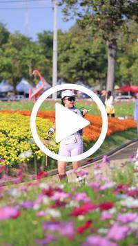 BIB:  <button type="button" onclick="openModal(27588358)" class="btn btn-primary btn-sm float-right" data-toggle="modal" data-target=".modal-high-quality">
                <i class="fa fa-download"></i> Download
                </button>